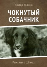 Книга - Виктор  Квашин - Чокнутый собачник (fb2) читать без регистрации