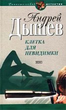 Книга - Андрей Михайлович Дышев - Клетка для невидимки (fb2) читать без регистрации