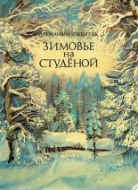 Книга - Дмитрий Наркисович Мамин-Сибиряк - Зимовье на Студеной (fb2) читать без регистрации