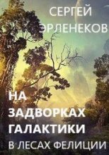 Книга - Сергей Сергеевич Эрленеков - В лесах Фелиции (fb2) читать без регистрации