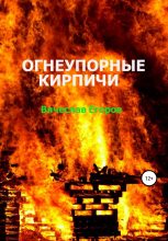 Книга - Вячеслав Анатольевич Егоров - Огнеупорные кирпичи (fb2) читать без регистрации