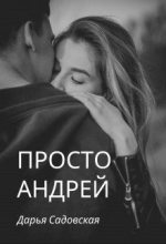Книга - Дарья  Садовская - Просто Андрей (fb2) читать без регистрации