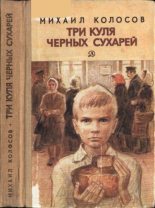 Книга - Михаил Макарович Колосов - Три куля черных сухарей (pdf) читать без регистрации