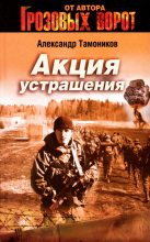 Книга - Александр Александрович Тамоников - Акция устрашения (fb2) читать без регистрации