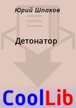 Книга - Юрий  Шпаков - Детонатор (fb2) читать без регистрации