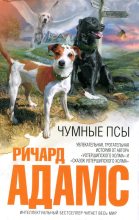 Книга - Ричард  Адамс - Чумные псы (fb2) читать без регистрации
