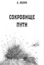 Книга - Ася  Иолич - Сокровище пути (СИ) (fb2) читать без регистрации