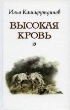 Книга - Ильгиз (Илья) Бариевич Кашафутдинов - Высокая кровь (fb2) читать без регистрации