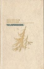 Книга - Владислав Николаевич Николаев - Мальчишник (fb2) читать без регистрации