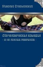 Книга - Николай Михайлович Сухомозский - 10 не ложных реверансов (fb2) читать без регистрации