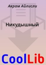 Книга - Акрам  Айлисли - Никудышный (fb2) читать без регистрации