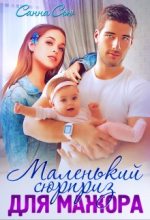 Книга - Сусанна  Ткаченко (Санна Сью) - Маленький сюрприз для мажора (fb2) читать без регистрации