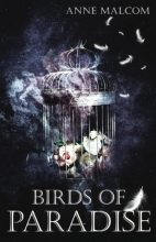 Книга - Энн  Малком - Райские птички (fb2) читать без регистрации