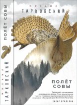 Книга - Михаил Александрович Тарковский - Полёт совы (fb2) читать без регистрации