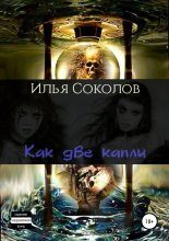 Книга - Илья Андреевич Соколов - Как две капли (fb2) читать без регистрации