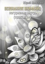 Книга - Юрий  Констант - Осознанное внимание (fb2) читать без регистрации