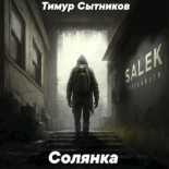 Книга - Тимур  Сытников - Солянка (fb2) читать без регистрации