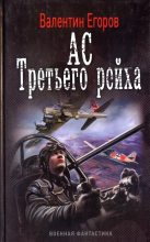 Книга - Валентин Александрович Егоров - Ас Третьего рейха (fb2) читать без регистрации