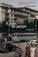 Книга - Лариса Емельяновна Миллер - А у нас во дворе (fb2) читать без регистрации
