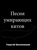 Книга - Георгий Витальевич Беклемишев - Песня умирающих китов (fb2) читать без регистрации