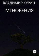 Книга - Владимир Сергеевич Курин - Мгновения (fb2) читать без регистрации