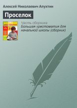 Книга - Алексей Николаевич Апухтин - Проселок (fb2) читать без регистрации